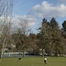 참새작은도서관 | / 캐나다 워홀 / #2 Step by step, ooh baby !