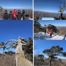 제천시 특별교통수단 이동지원센터 | 대중교통을 이용한 도보여행 100선 제88탄 태백산 눈꽃 트레킹(산행)