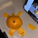 망미1-103 | 부산.