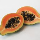 파파야 이미지