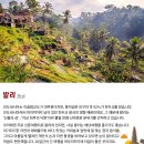 11월 발리힐링여행 신청안내문 이미지