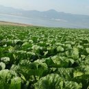 녹색농원 이미지