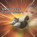 돌로미티천안 | 26년 3월의 일상