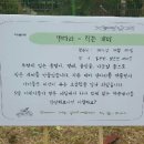 동북유치원 이미지