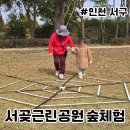서구 신촌어린이공원 | 인천 서구 숲체험 서곶근린공원 거미와 곤충