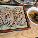 반가의메밀