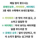 샐러드밭 이미지