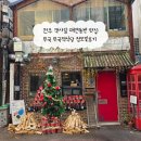 토마토식당 | 전주 객사길 애견동반 식당 무국 무국적식당 토마토닭스튜 베이컨갓김치파스타 후기