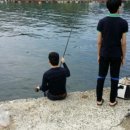 문어민박 이미지