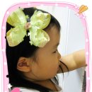 레몬향데이지 이미지