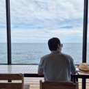 봄카페 - 중구 | 영덕 강구항 오션뷰 카페｜카페봄 내돈내산 솔직후기