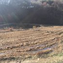 아영면 아곡마을 이미지