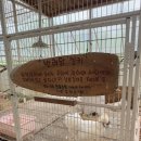 공주과일 | 거제 아기랑 가볼만한 곳 : 거제동물원 버드앤피쉬체험장