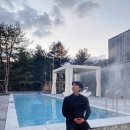 빌라 퍼즈 티스토리