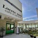 루쎄떼(Lucete) 이미지
