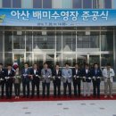 배미수영장 이미지