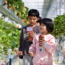 하나로농장-2 이미지