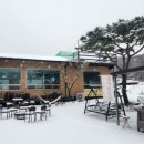 강돼지식당 이미지