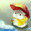 단비 이미지