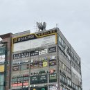 평촌본프라자 | 안양키즈스포츠 추천 안양유아클라이밍 몽키즈클라이밍 안양평촌점 체험 후기