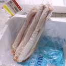 댕댕이 만찬 이미지