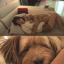 이상순농장 이미지