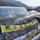 [공지] 겨울산 추천 2탄 강원도 홍천 계방산 상고대가 아름다운 설산