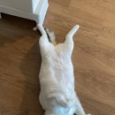 숙희농장 이미지