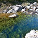 백자동 캠핑장