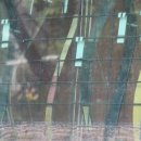 성전 경로당 이미지