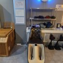 선린자모의원 이미지