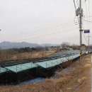 도일목장 이미지