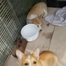 세광상사 이미지