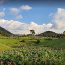 골프존카운티 드래곤 이미지