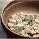 굿샷 골프아카데미 이미지