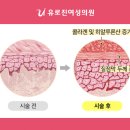 유로진여성의원 이미지