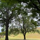 (주)신광택시 | 경주 1박2일, 경주 카페, 경주 소품샵추천, 황리단길 소품샵, 경주 가족여행, 경주 호텔추천, 경주...