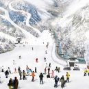 곤지암리조트 휴양콘도미니엄 이미지