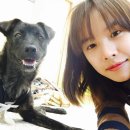 강이네펫샵 Daum카페