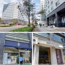 맘스동물약국 이미지