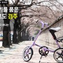 향기바이크 이미지
