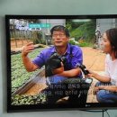 6시내고향