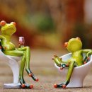 청개구리 이미지