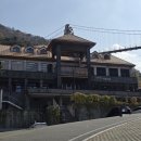 좌구산자연휴양림 | 증평 단풍 명소 좌구산자연휴양림 실시간 단풍상황