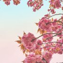 유엔조각공원 이미지