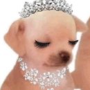 안경사랑 송정점 | 나는 2025년 안티이다. 안녕히계세요.