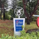 서희원 5호 &amp;이소희 5호 공동 기사 초안 이미지