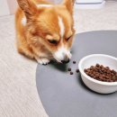 창대사료 이미지