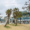 함덕하나로약국 이미지