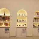 강아지미장원 이미지